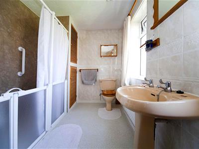 Picture 20
